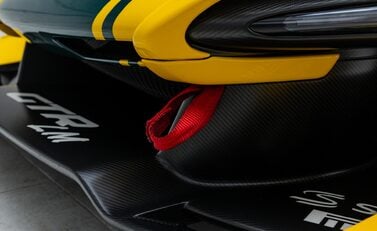 McLaren Senna GTR LM 48