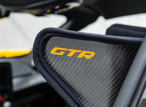 McLaren Senna GTR LM 17