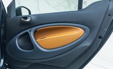 Smart Fortwo Coupe RACING GREEN EDITION 39