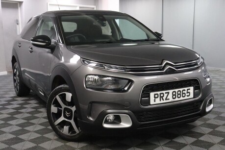 Citroen C4 Cactus PURETECH FLAIR S/S EAT6 19