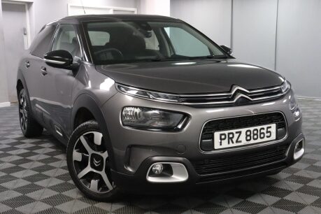 Citroen C4 Cactus PURETECH FLAIR S/S EAT6 19