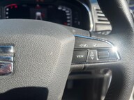 SEAT Ibiza TSI XCELLENCE LUX 13