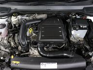 SEAT Ibiza TSI XCELLENCE LUX 46