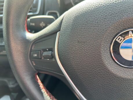 BMW 1 Series 118I SPORT 9