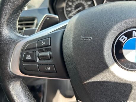 BMW X1 XDRIVE20D XLINE 12