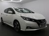 Nissan LEAF TEKNA