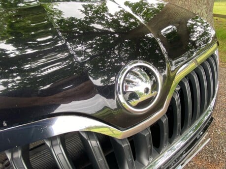 Skoda Yeti Outdoor SE BUSINESS TDI SCR 19