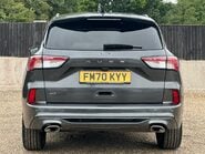 Ford Kuga ST-LINE X EDITION ECOBLUE 8