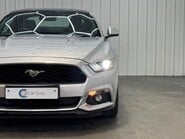 Ford Mustang ECOBOOST 31