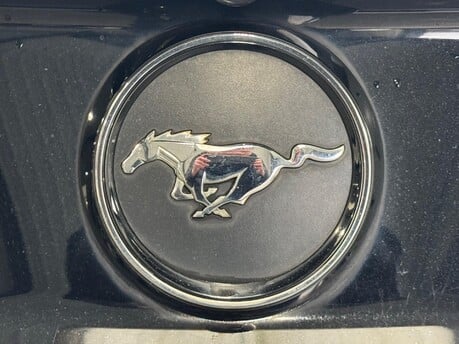 Ford Mustang ECOBOOST 39