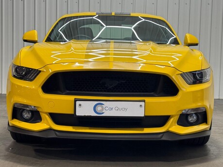 Ford Mustang GT 19