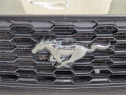 Ford Mustang 2.3 Mustang EcoBoost 2dr 20