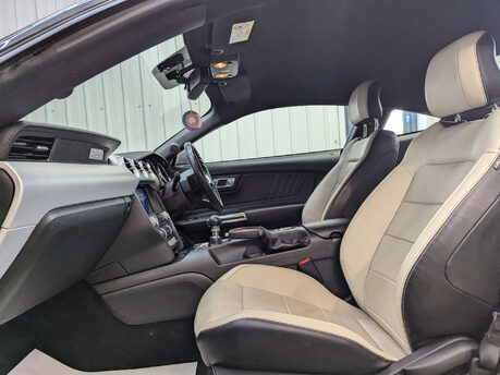 Ford Mustang 2.3 Mustang EcoBoost 2dr 53