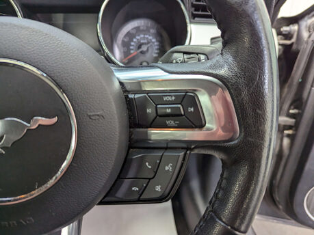 Ford Mustang 2.3 Mustang EcoBoost 2dr 67
