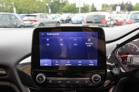 Ford Fiesta ST PERFORMANCE EDITION 30