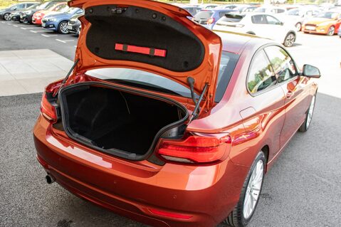 BMW 2 Series 218I SE 33