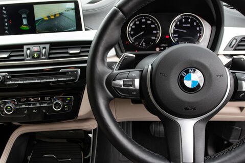 BMW X2 SDRIVE20I M SPORT 19