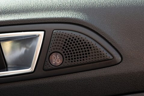 Ford Ecosport ST-LINE 15