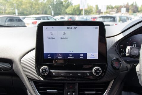 Ford Puma ST 29