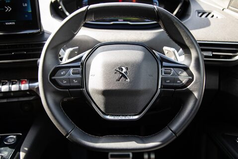 Peugeot 3008 S/S ALLURE PREMIUM PLUS 21