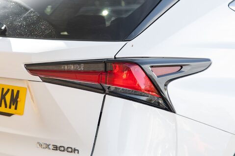 Lexus NX 300H LUXURY 9