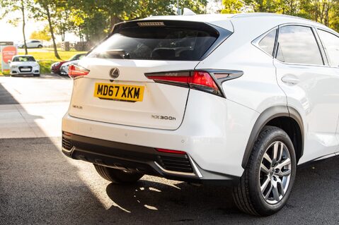 Lexus NX 300H LUXURY 8