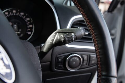 Ford Edge ST-LINE ECOBLUE 19