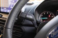 Ford Ecosport ACTIVE 17