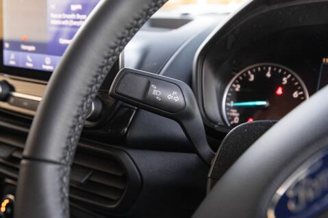 Ford Ecosport ACTIVE 17