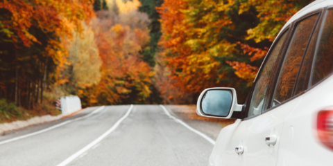 Autumn Driving Hazards and How to Avoid Them 