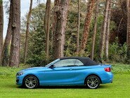 BMW 2 Series 218I SPORT 43