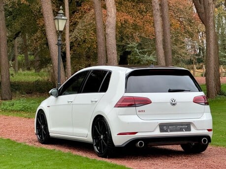 Volkswagen Golf GTI PERFORMANCE TSI 50