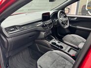 Ford Kuga ST-LINE X EDITION 19