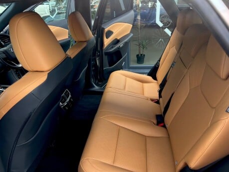 Lexus RX 350H PREMIUM PLUS 14