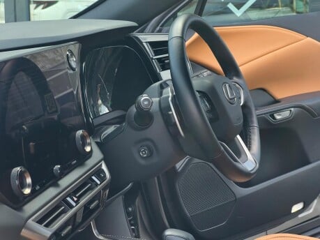 Lexus RX 350H PREMIUM PLUS 17