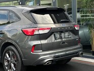 Ford Kuga ST-LINE FIRST EDITION ECOBLUE MHEV 16