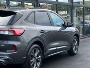 Ford Kuga ST-LINE FIRST EDITION ECOBLUE MHEV 21
