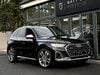 Audi SQ5 SQ5 TDI QUATTRO MHEV