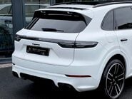 Porsche Cayenne V6 PLATINUM EDITION 19