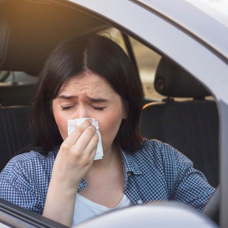 Driving tips for hay fever sufferers