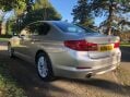 BMW 5 Series 518D SE 24