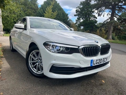 BMW 5 Series 520D SE MHEV 13