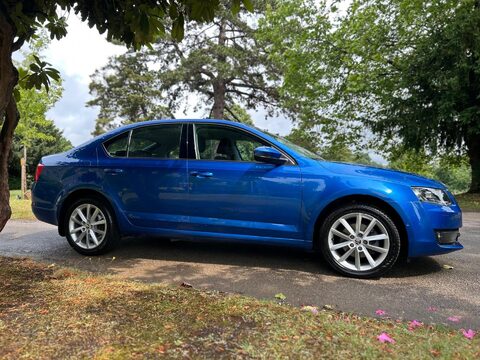 Skoda Octavia SE L TSI DSG 16
