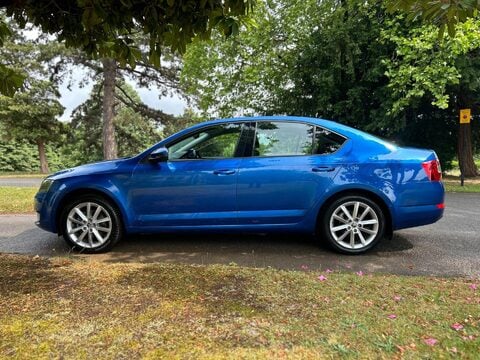 Skoda Octavia SE L TSI DSG 17