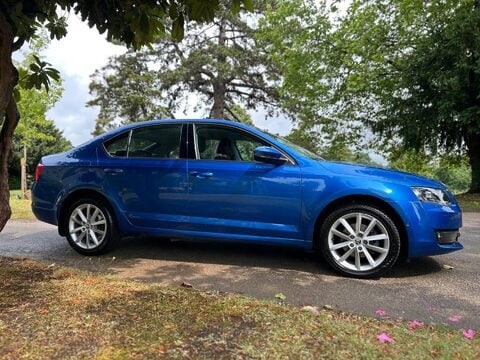 Skoda Octavia SE L TSI DSG 16