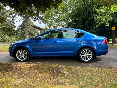Skoda Octavia SE L TSI DSG 17