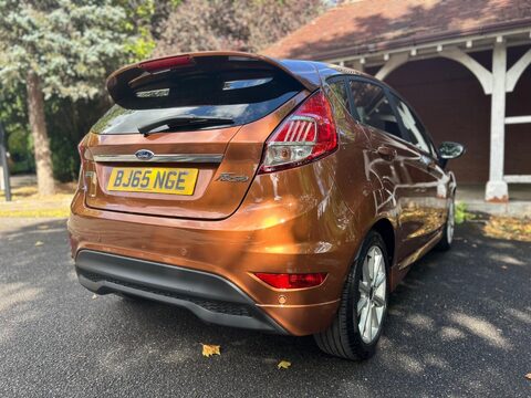Ford Fiesta TITANIUM 16