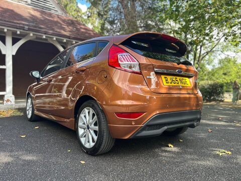 Ford Fiesta TITANIUM 19