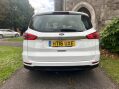 Ford S-Max ZETEC TDCI 19