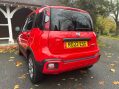 Fiat Panda RED MHEV 10